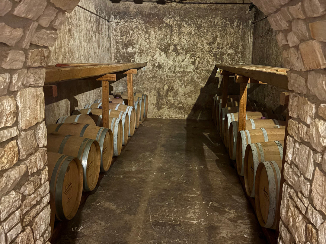 Moraitis Winery-纳乌萨必去景点