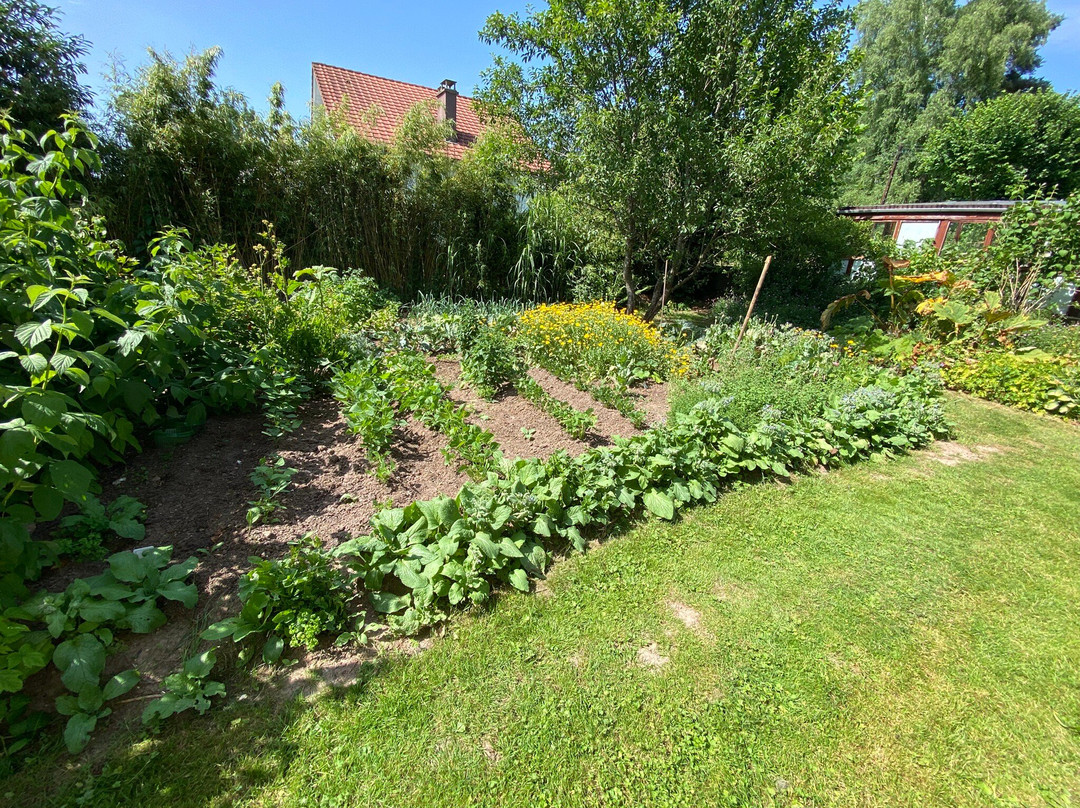 Le Jardin des Secrets主图