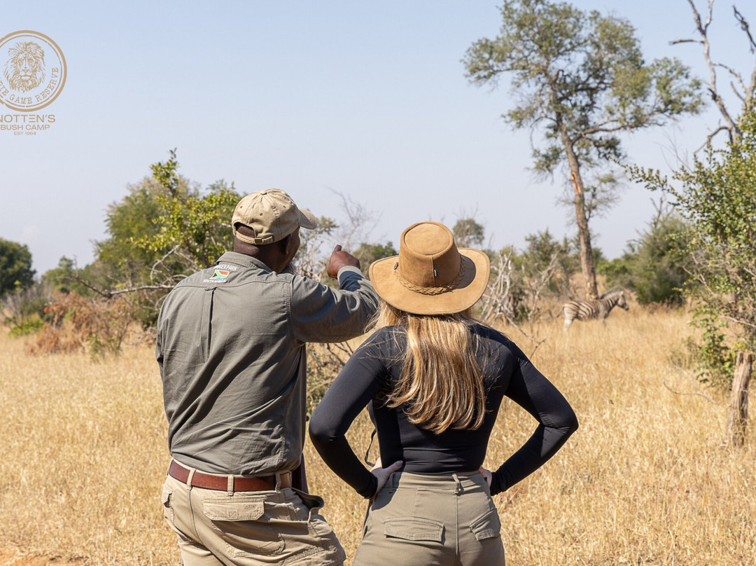 Notten's Bush Camp主图