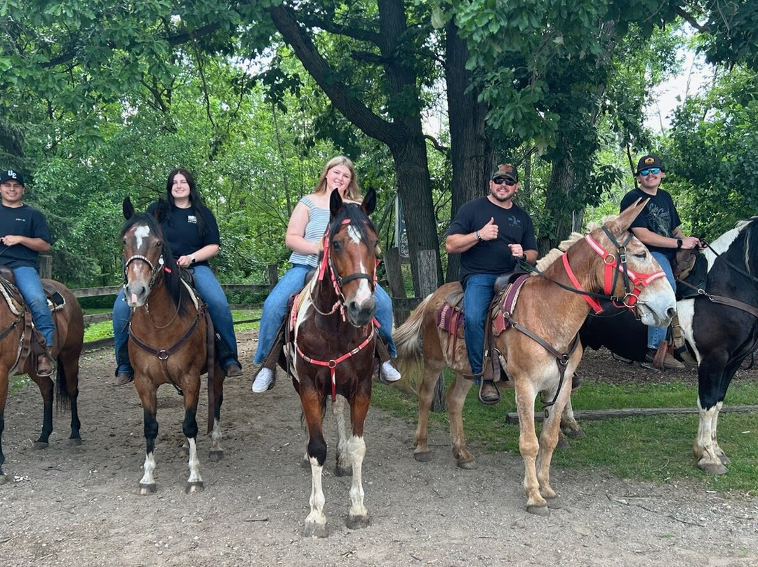 Sundance Riding Stables-Grand Ledge必去景点
