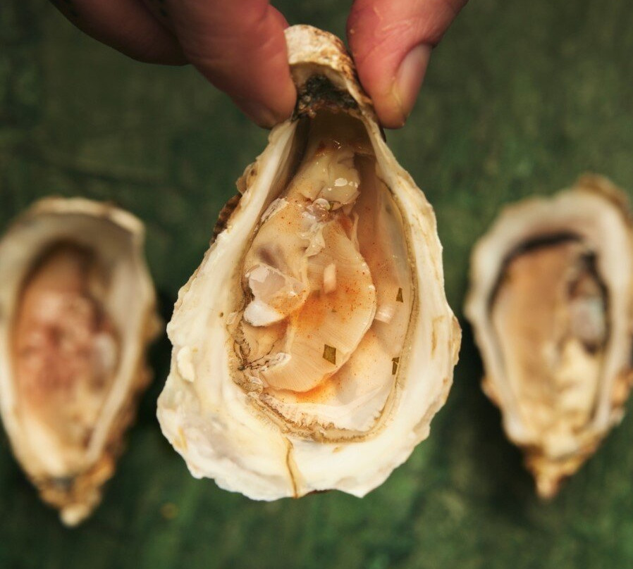White Horse Oyster & Seafood Bar
