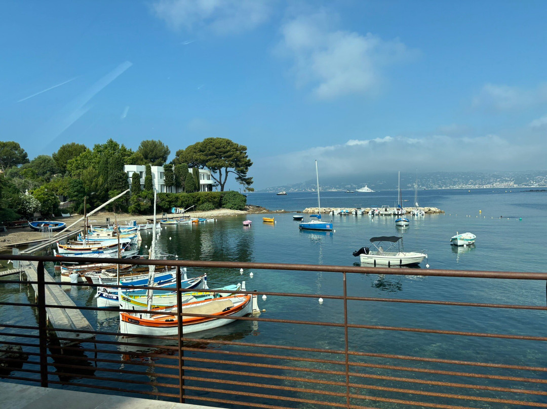 French Riviera Guides-尼斯必去景点