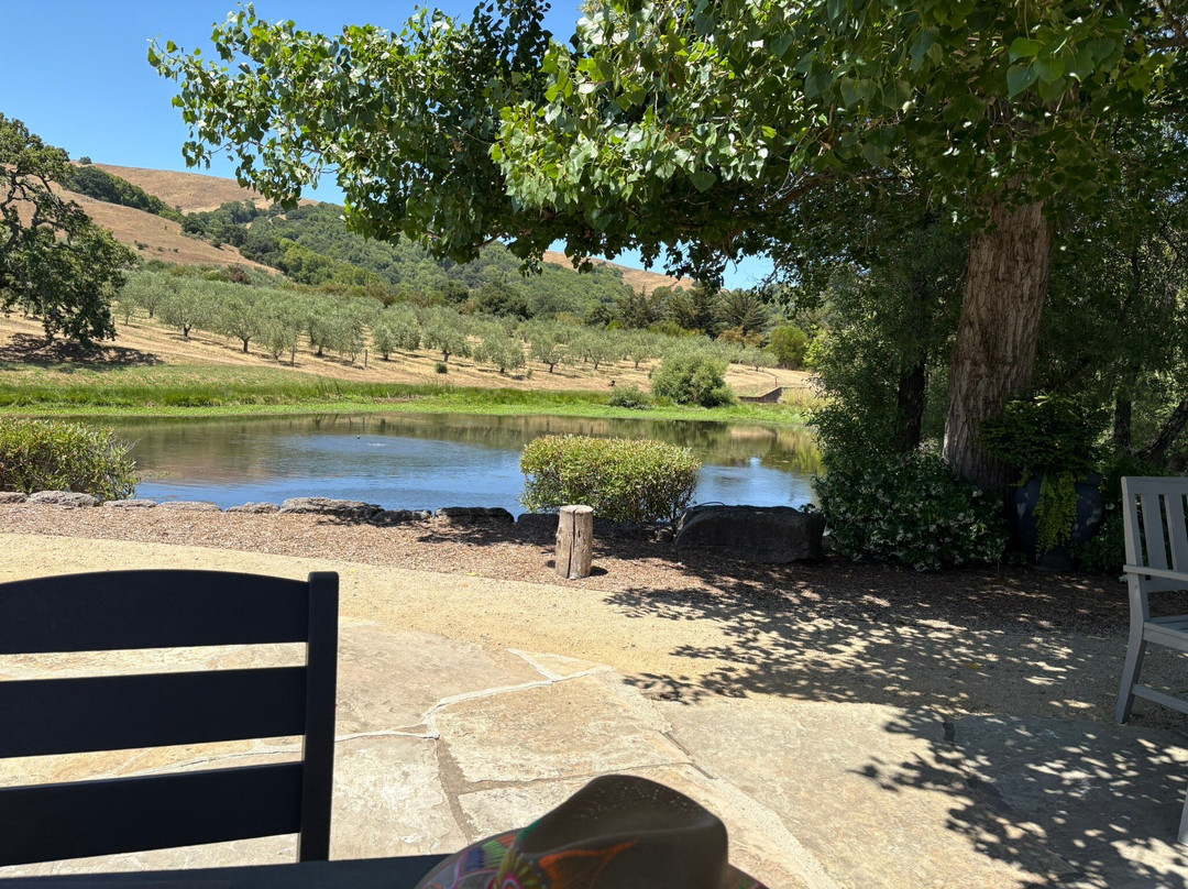 McEvoy Ranch-佩塔卢马必去景点