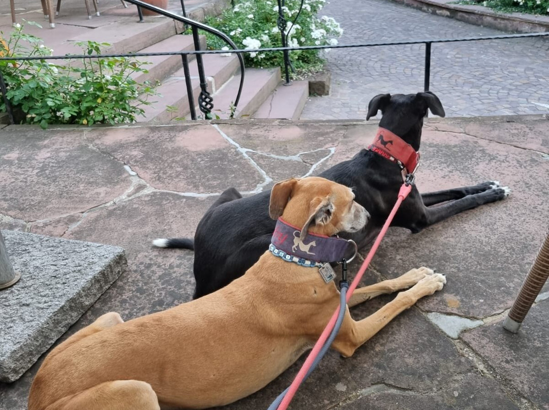 Romantik Hotel zur Sonne主图