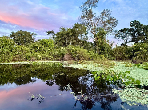 Biodiverse Brazil Tours-Chapada dos Guimaraes必去景点