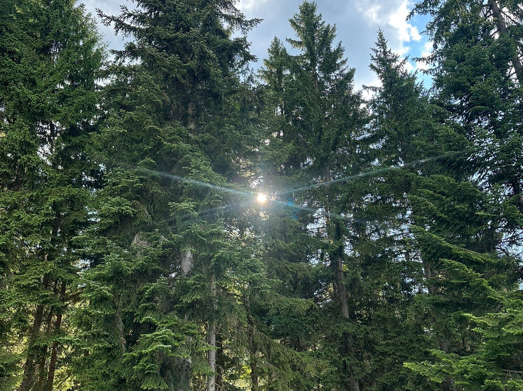 Haute Savoie Quad Megeve-Praz Sur Arly必去景点