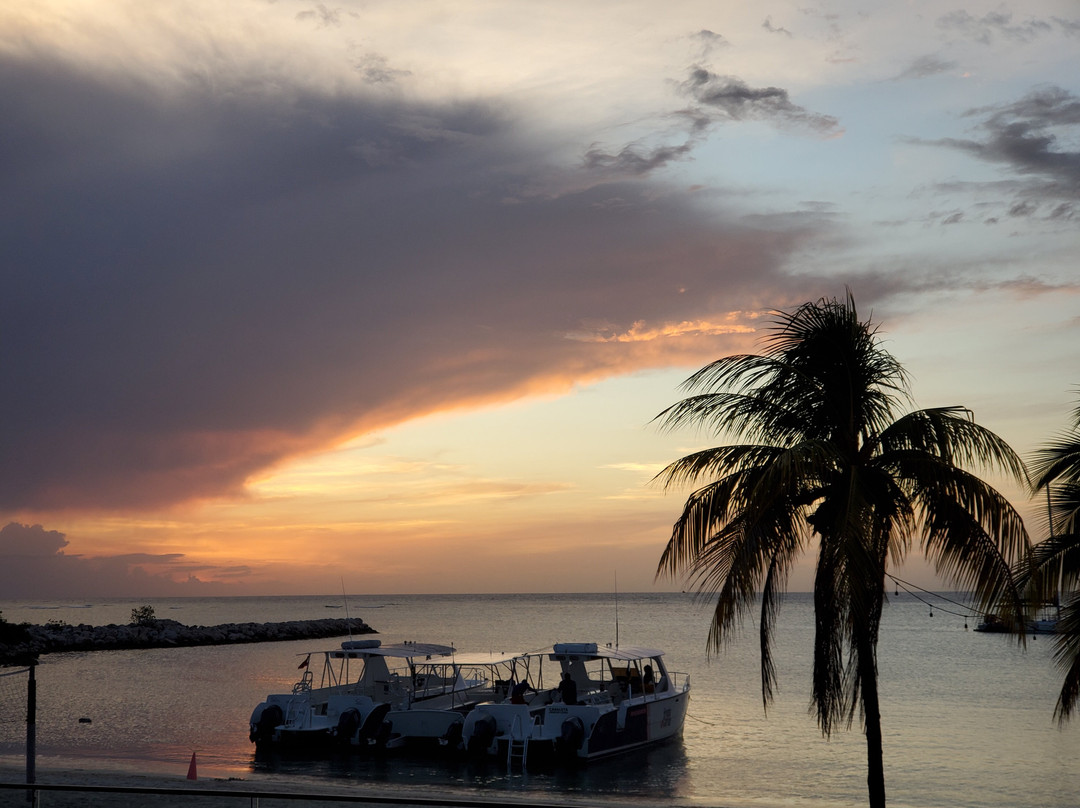 Scubacaribe Montego Bay-蒙特戈贝必去景点