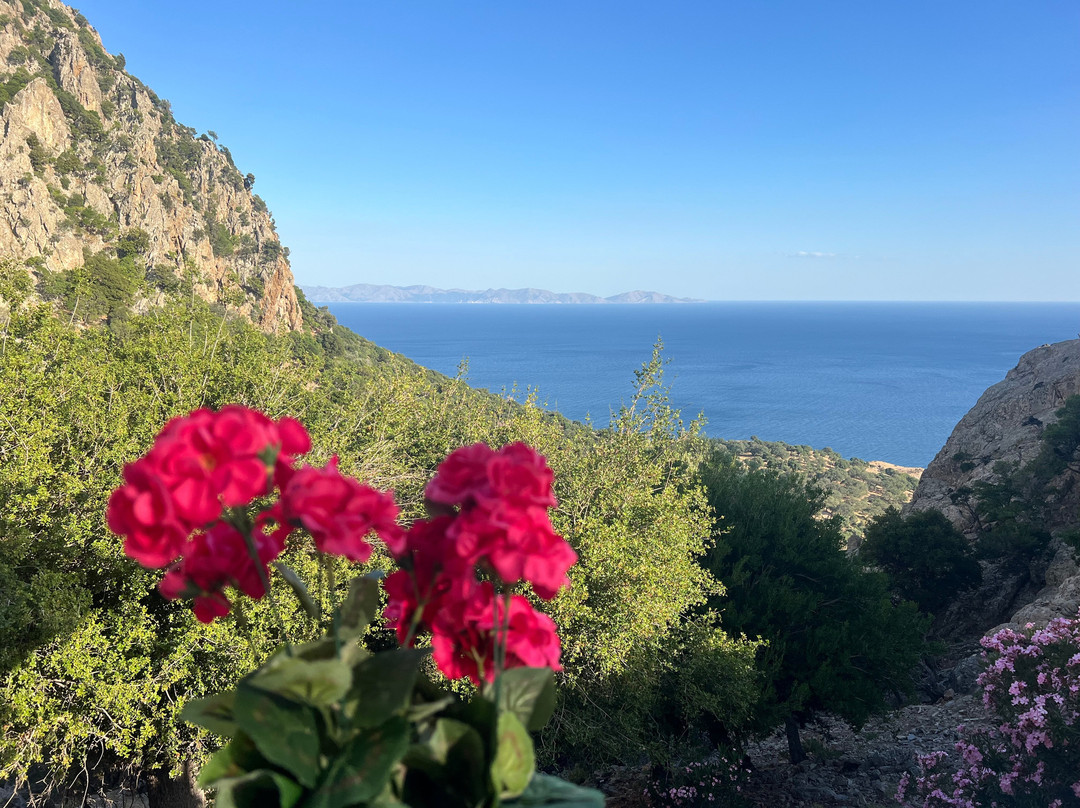 Taverna H Krimniotissa