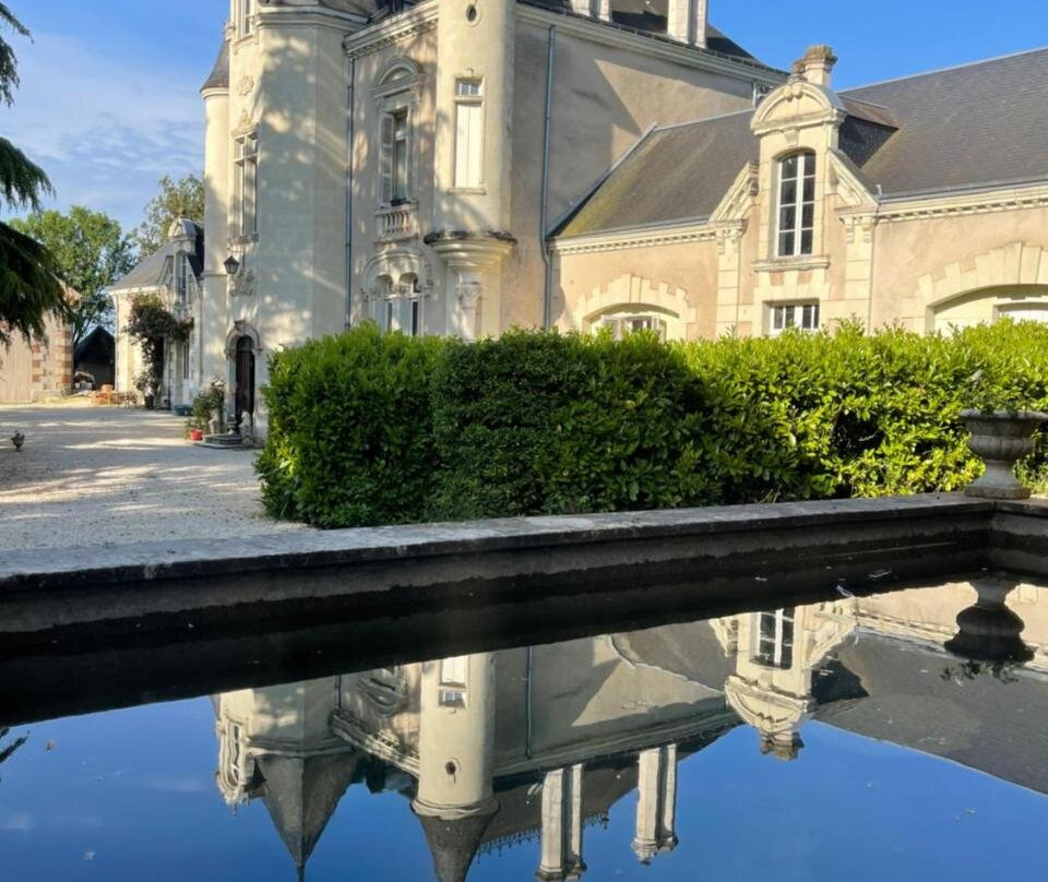 Assais-les-Jumeaux酒店住宿-Le Château de Leugny