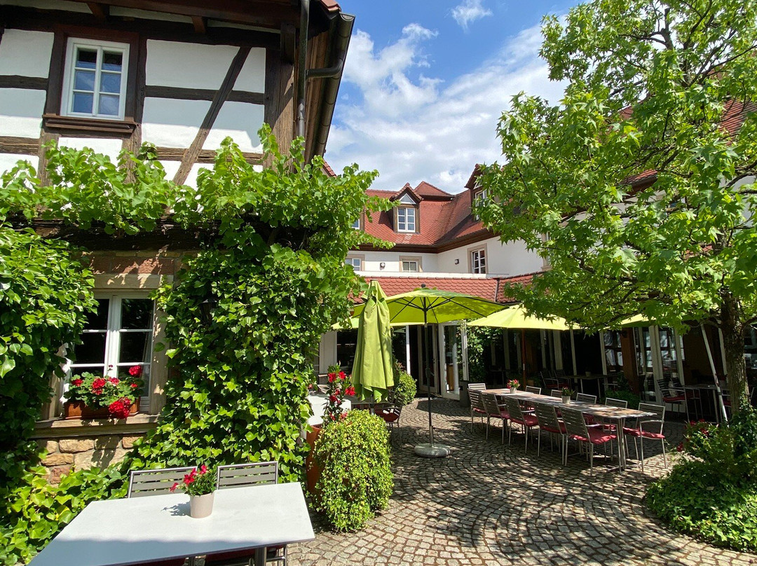 Landhotel Hauer主图