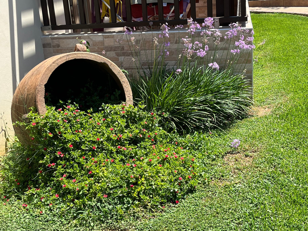 Vagia Mare Hotel主图