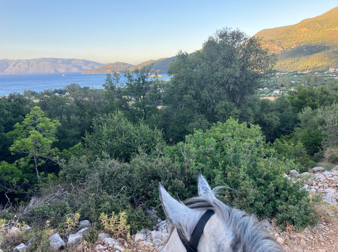 Kefalonia's Horse Riding Stable-萨米必去景点