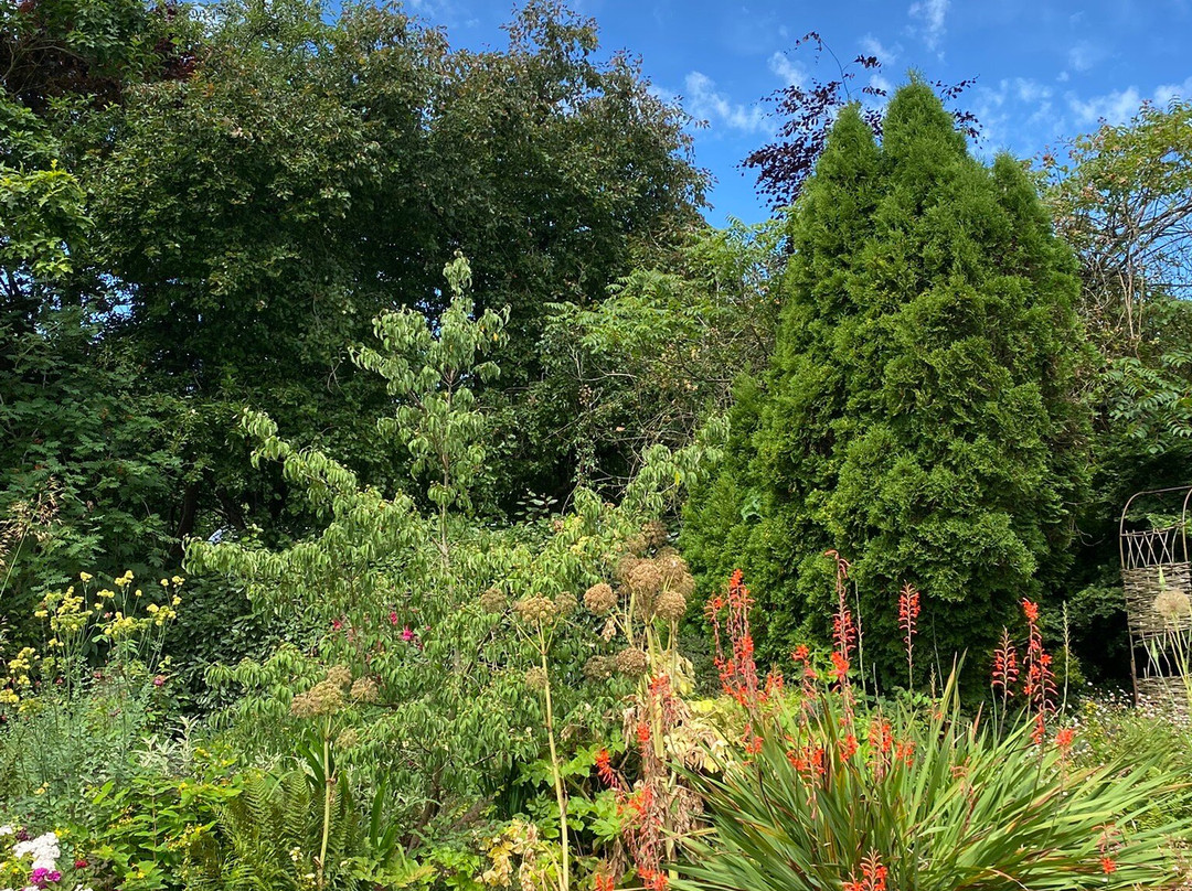 Burrow Farm Gardens-Dalwood必去景点