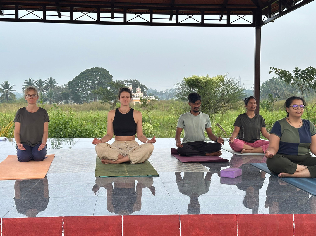 Yogadarshanam Yoga School-迈索尔必去景点