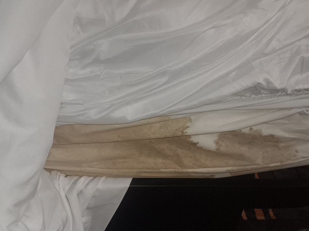 Rodeway Inn & Suites主图