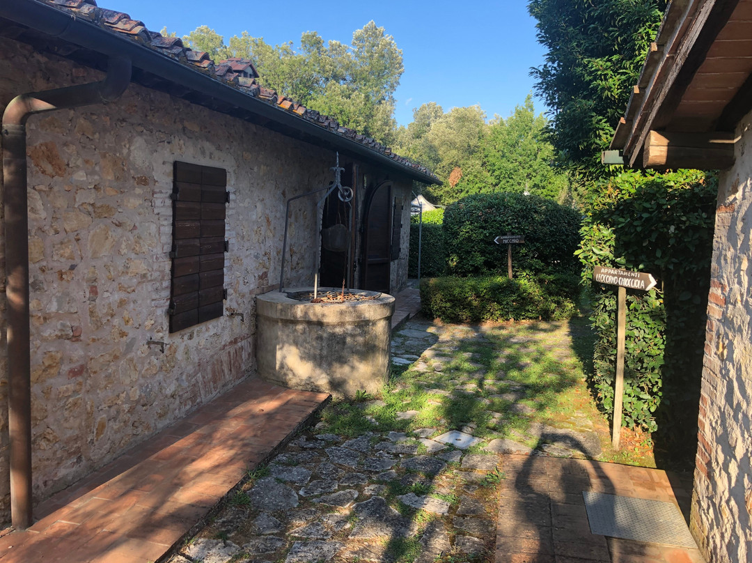 Poggio al Palio主图