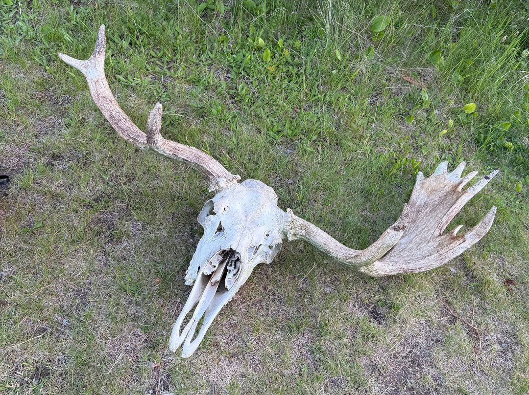 Keweenaw Adventure Company-Copper Harbor必去景点