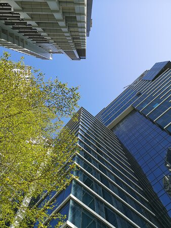 迪拜皇冠酒店主图