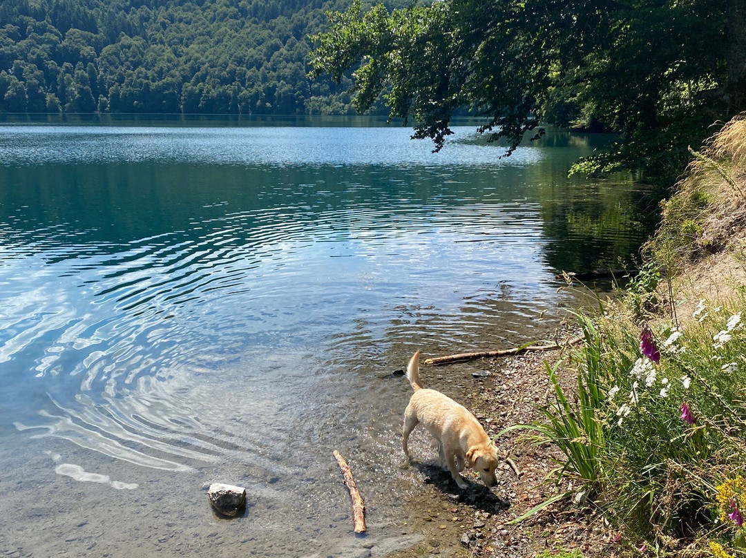 Au Fond de la Cour主图