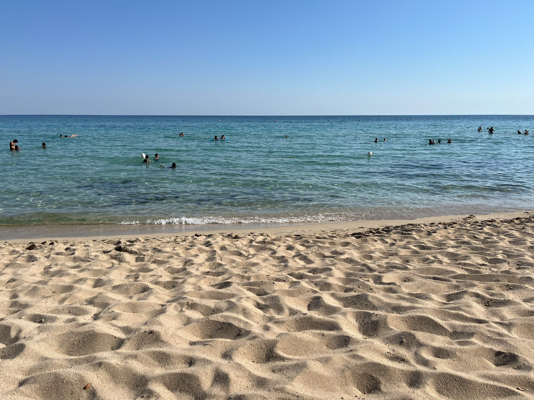 Samanà Beach-Punta Prosciutto必去景点