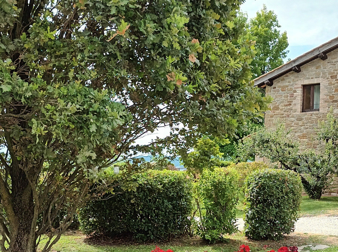 Agriturismo Le Case - Residenza Di Campagna主图