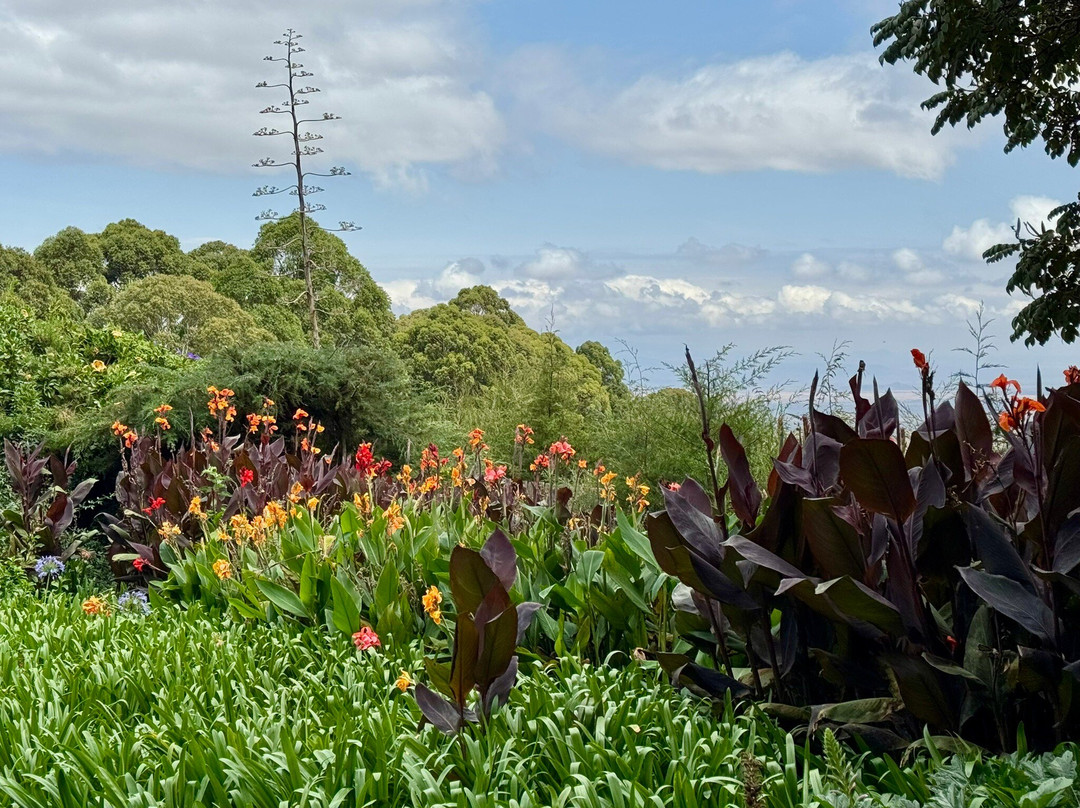 Simba Farm Lodge主图