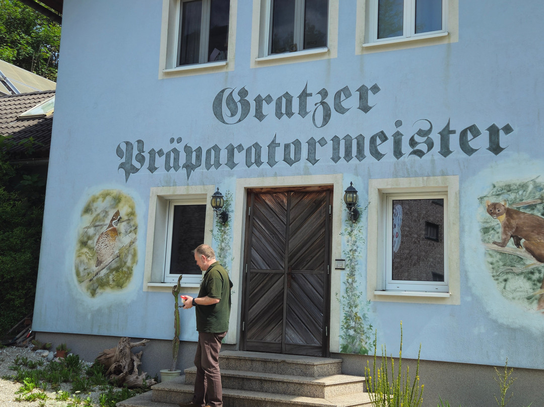 Naturmuseum Salzkammergut - Treffpunkt Natur-Ebensee am Traunsee必去景点
