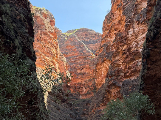 Kingfisher Tours-库努纳拉必去景点