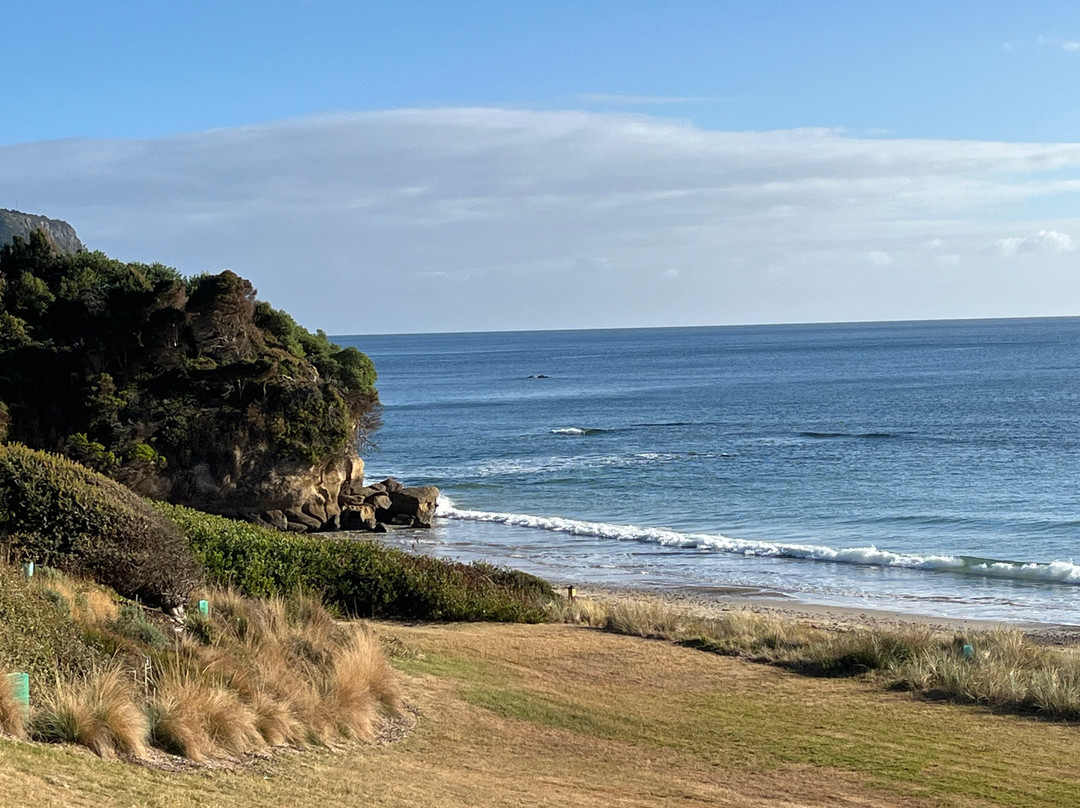 Fossil Bluff Lookout