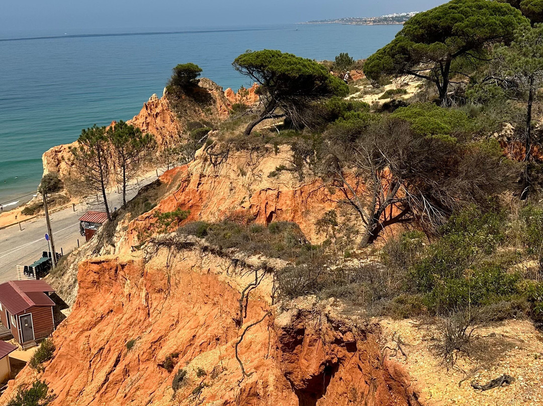 Bikesul-阿尔布赞拉必去景点