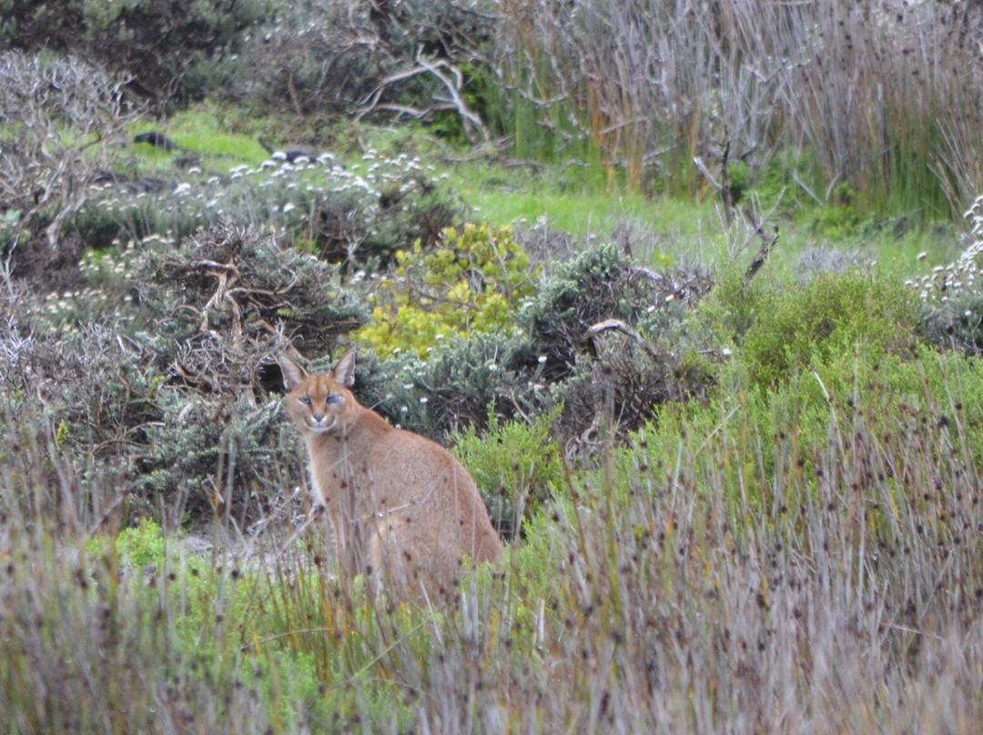 African Experience-Vredehoek必去景点