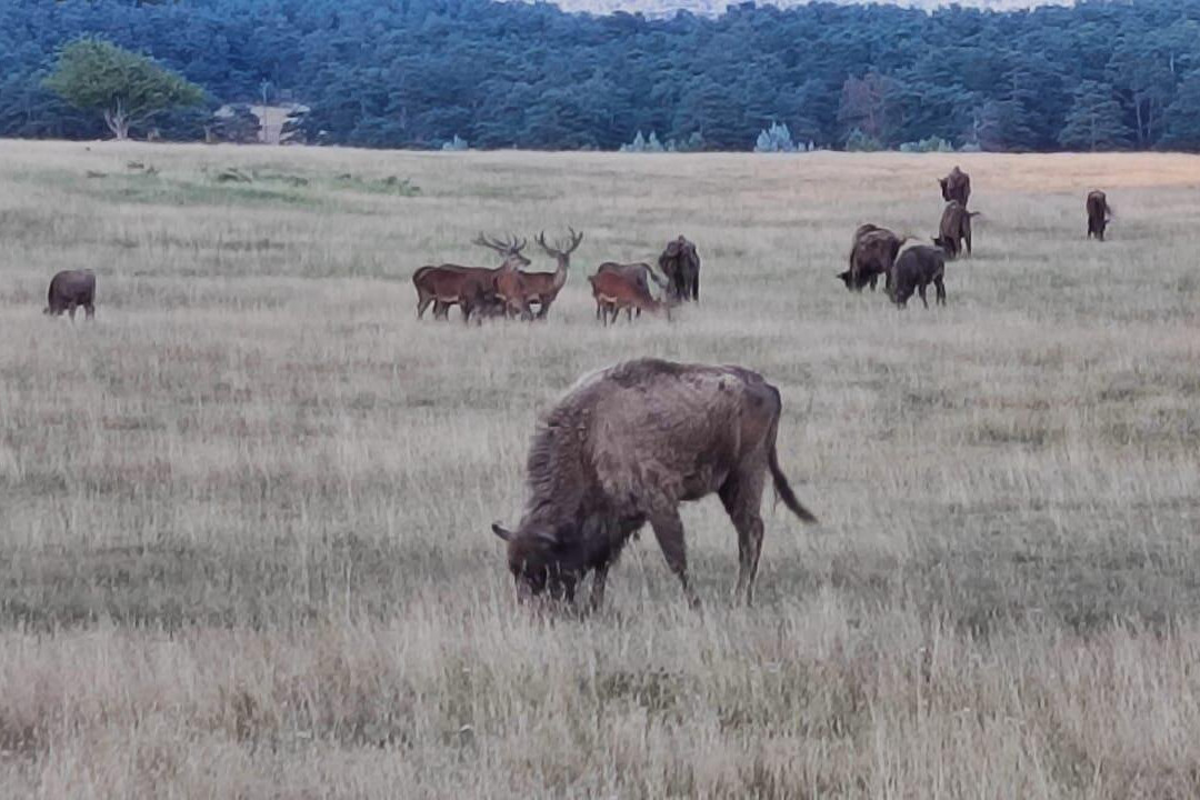 Reserve Biologique des Monts d'Azur-Thorenc必去景点