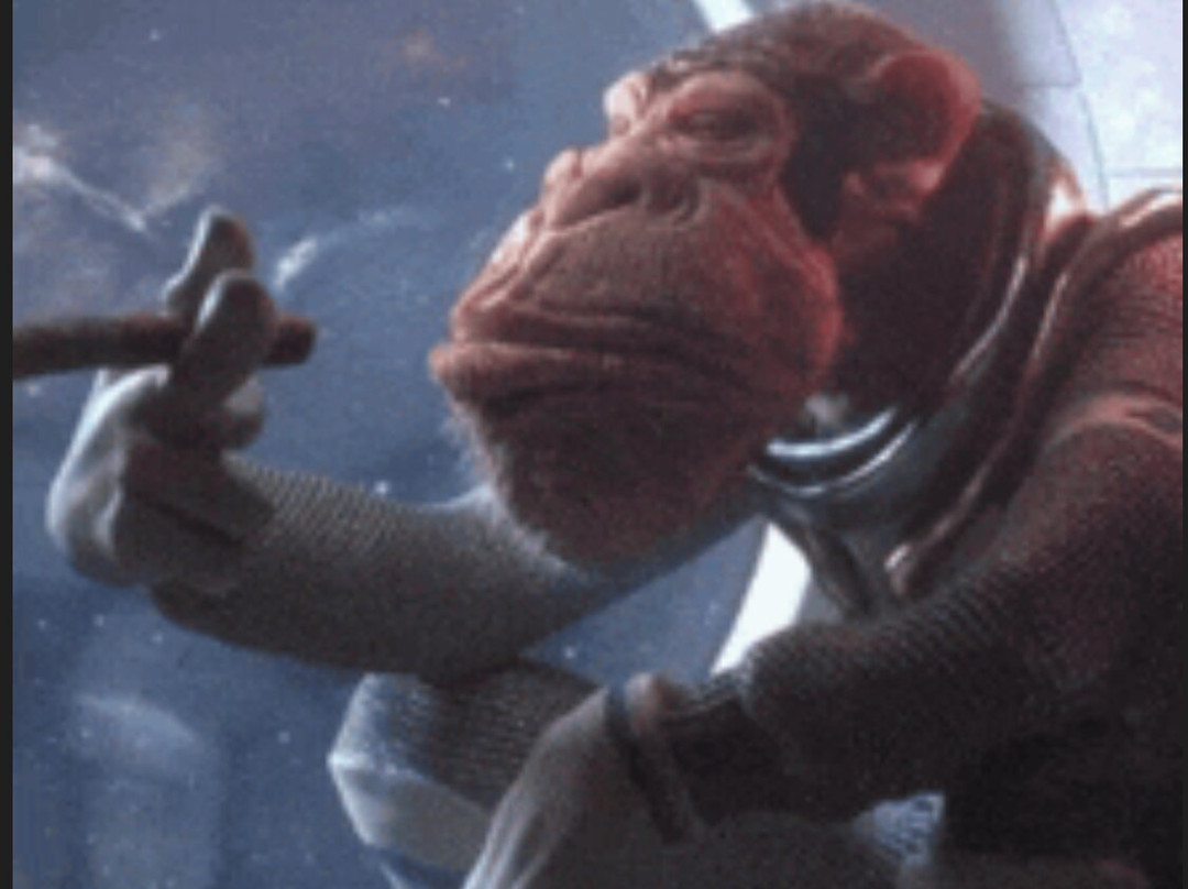 Sixfields Stadium-北安普敦必去景点