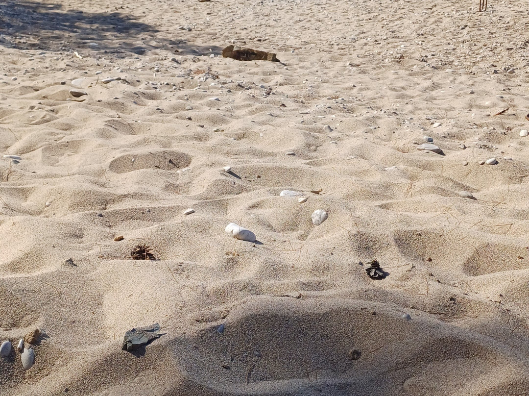 Kato Lako Beach-Kárpathos必去景点