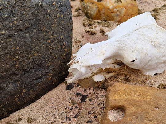 Africa Edge Safaris-华维斯湾必去景点