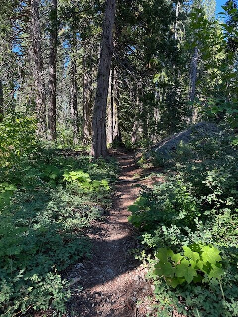 Gray Eagle Lodge主图