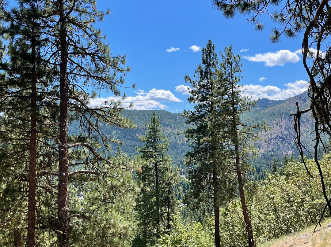 Icicle Ridge Trail-莱文沃思必去景点