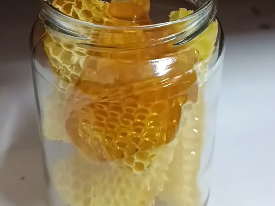 CRETA SAFARI PATHFINDERS-Kournas必去景点