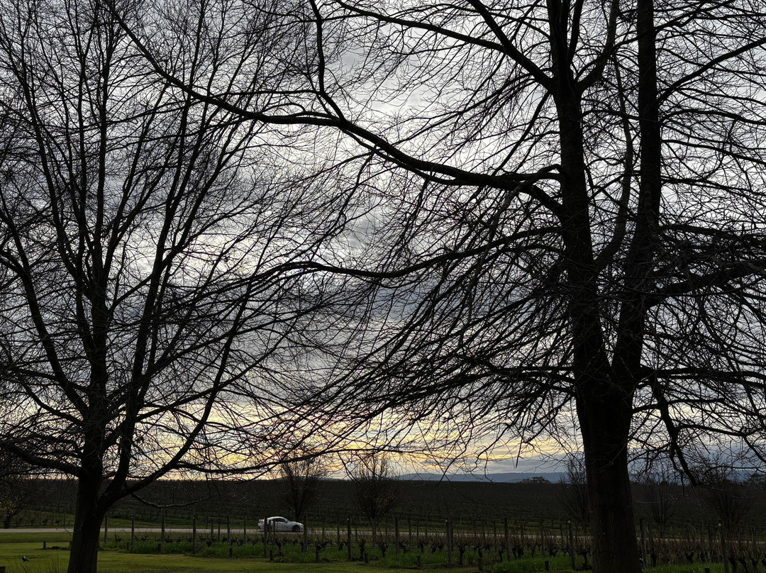 Oakridge Wines-科尔德斯特里姆必去景点