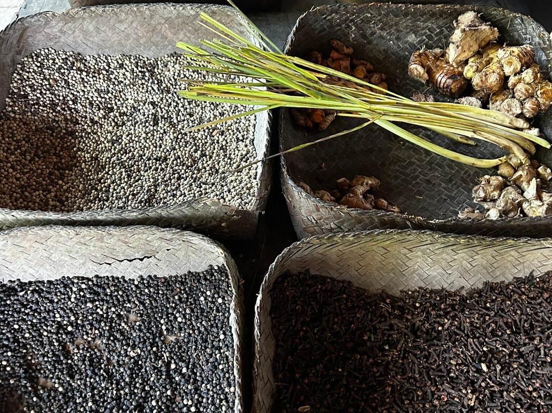 巴厘岛生态游-乌布必去景点