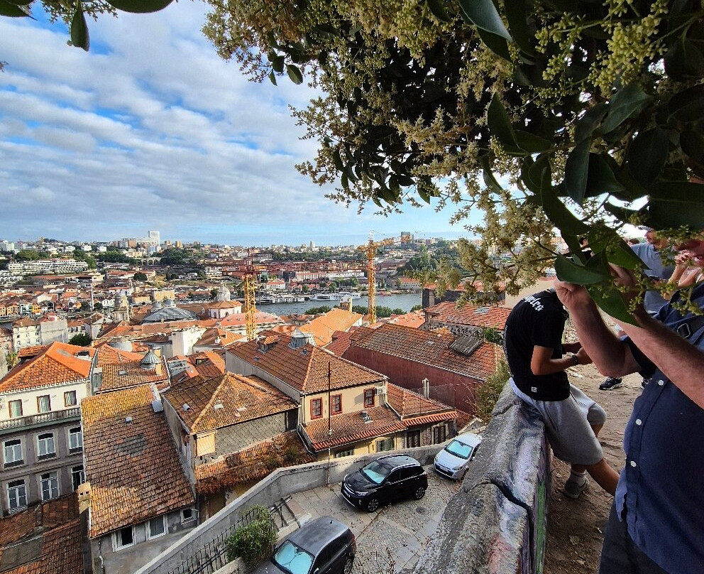Miradouro da Vitória-波尔图必去景点