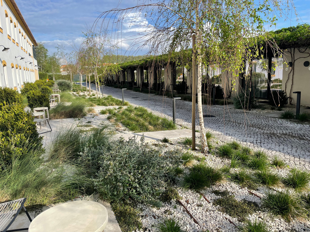 Montebelo Vista Alegre Ilhavo Hotel主图