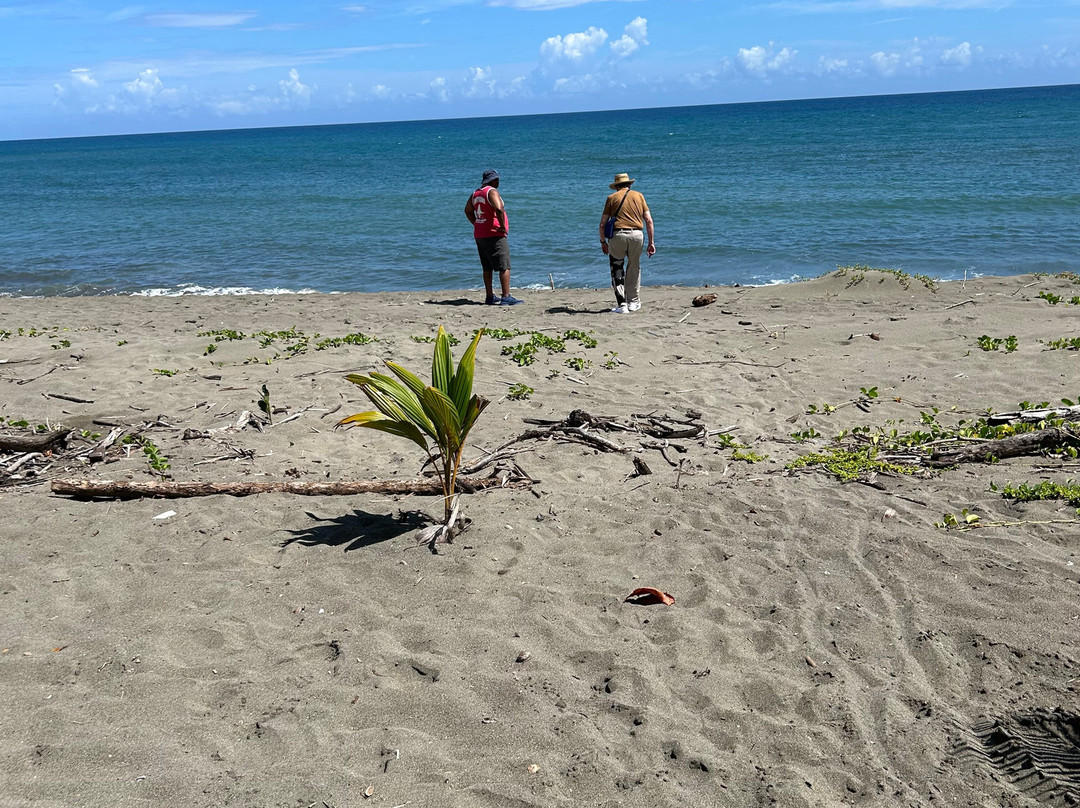 Unique Quality Tours-圣胡安必去景点