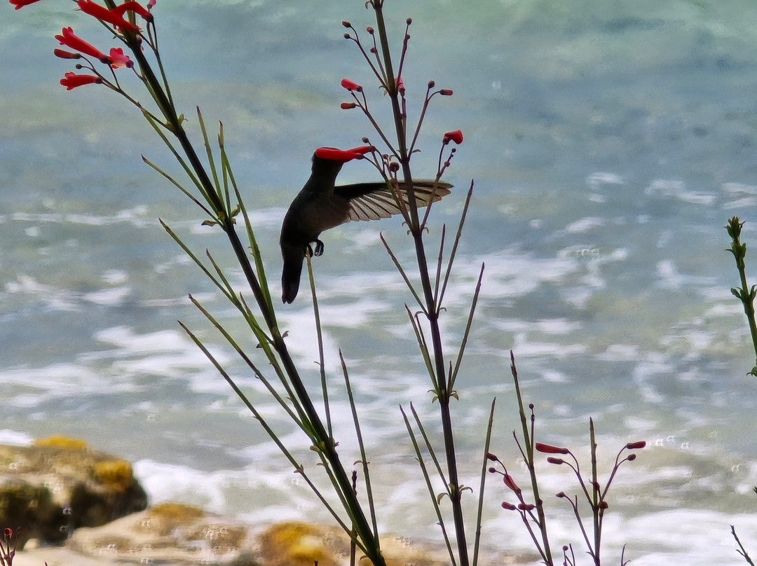 Limetree Beach-South Coast必去景点