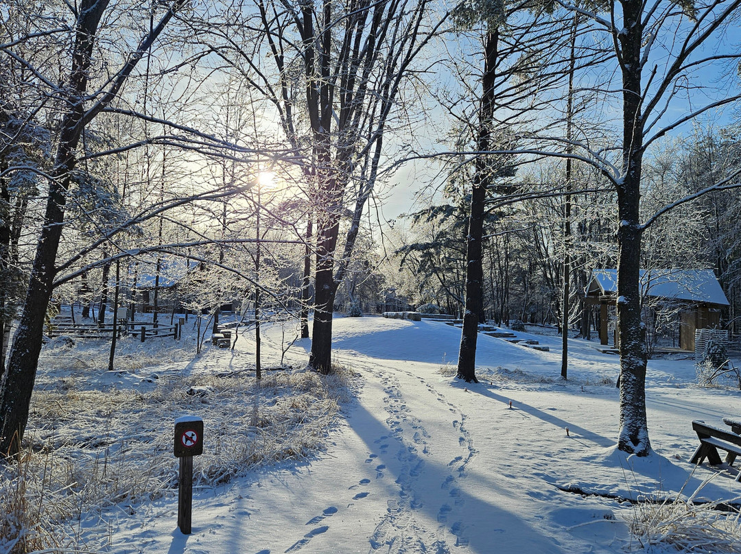 Schmeeckle Reserve-Stevens Point必去景点