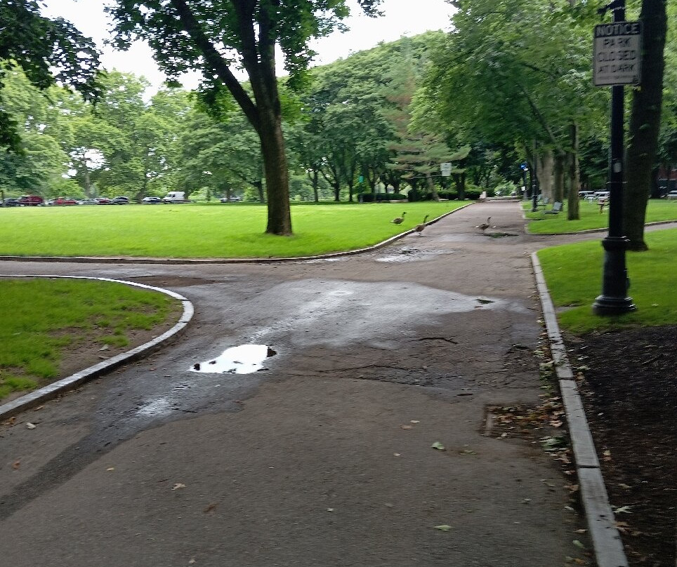 John F. Kennedy Park-剑桥必去景点