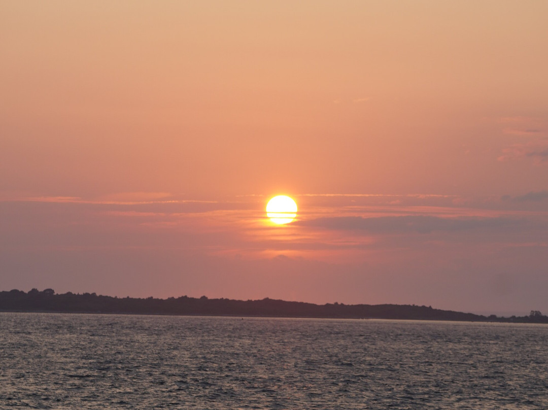 The Steamship Authority-Oak Bluffs必去景点