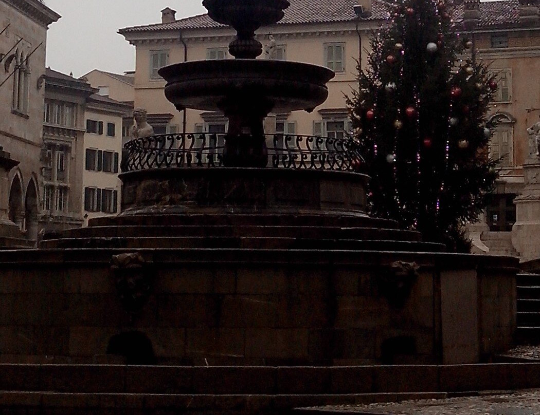 Fontana del Carrara-乌迪内必去景点