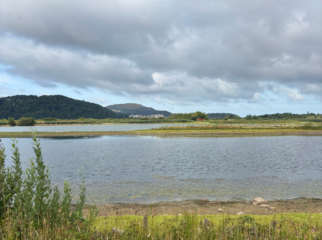 RSPB Conwy Nature Reserve-Llandudno Junction必去景点