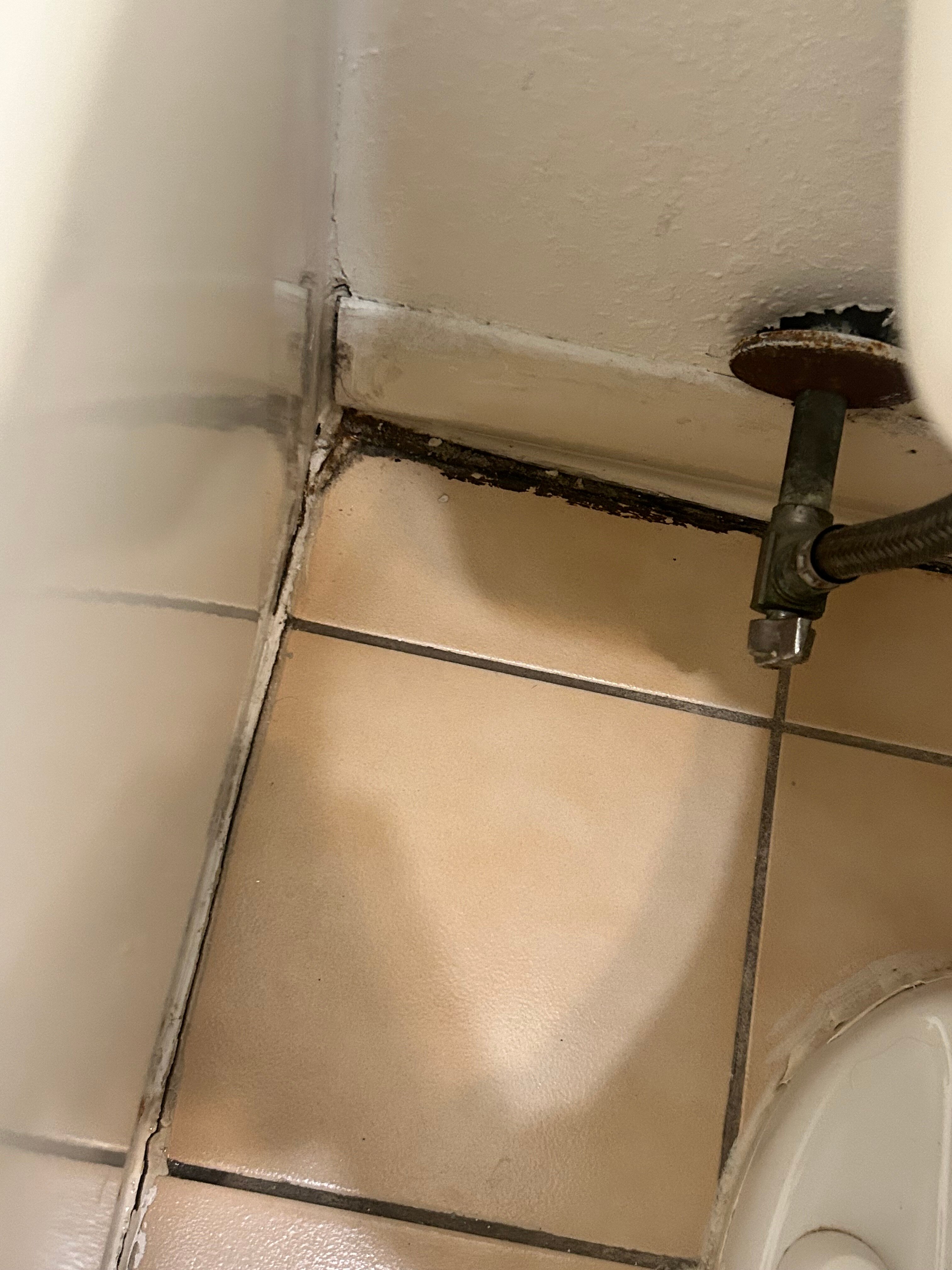 Sunrise Motel-官方